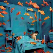 TORINO - Sandy Skoglund. Visioni Ibride